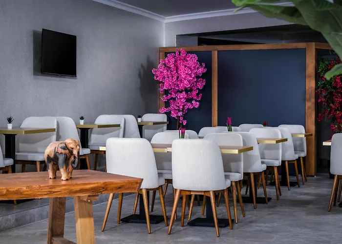 Sh Business Hotel